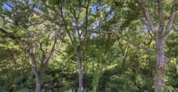 9504 NW 87th Terrace, Kansas City, MO 64153