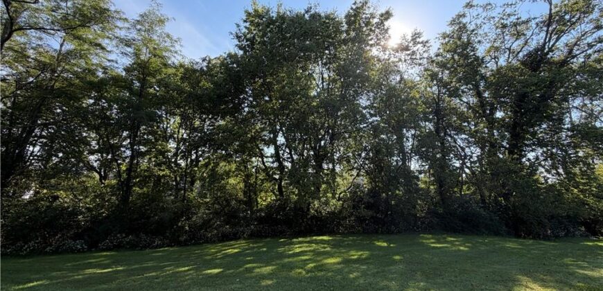 16606 NE 120th Terrace, Kearney, MO 64060