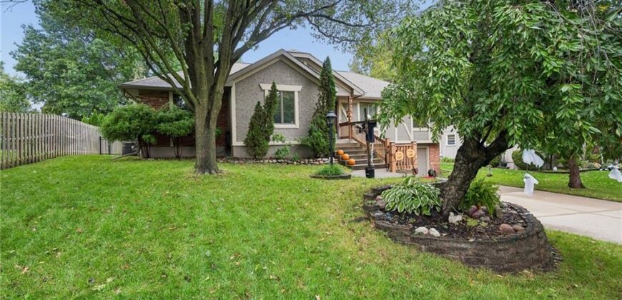7314 N olive Street, Kansas City, MO 64118