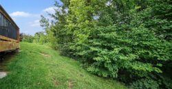 7438 Grand Slam Street, Parkville, MO 64152