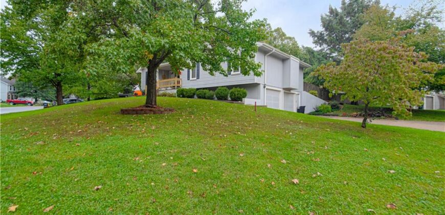 1914 Meadowlane Street, Kearney, MO 64060