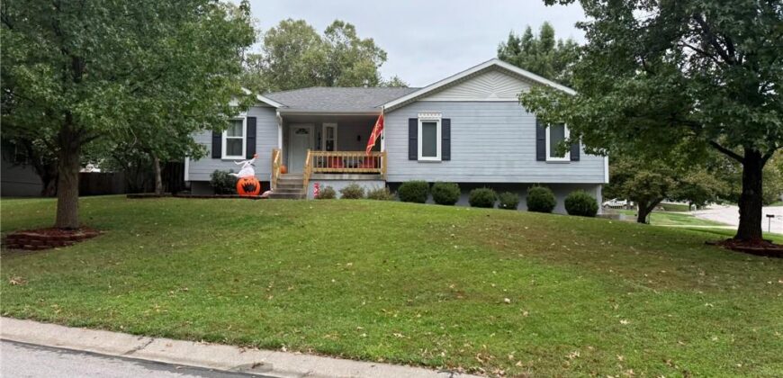 1914 Meadowlane Street, Kearney, MO 64060