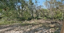 5514 NW Verlin Drive, Parkville, MO 64152