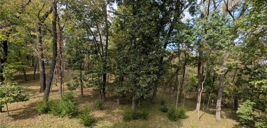 8024 NW Roberts Road, Weatherby Lake, MO 64152