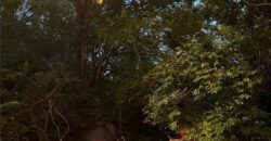 622 Walnut Street, Liberty, MO 64068