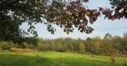 17910 Sharps Station Road, Platte City, MO 64079